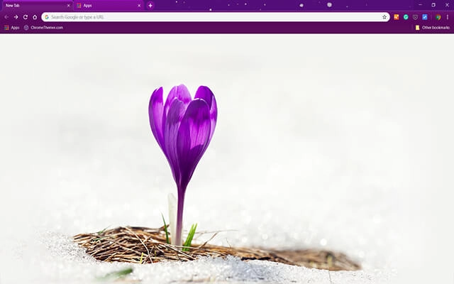 Alone Crocus Chrome theme preview 1
