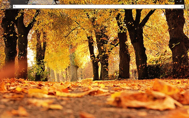 Autumn Trees Chrome theme preview 1