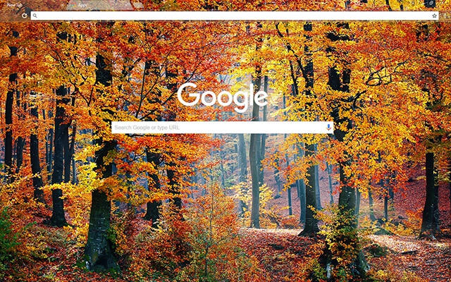 Autumn Woods preview