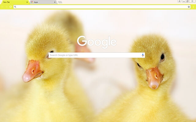Baby Ducks preview