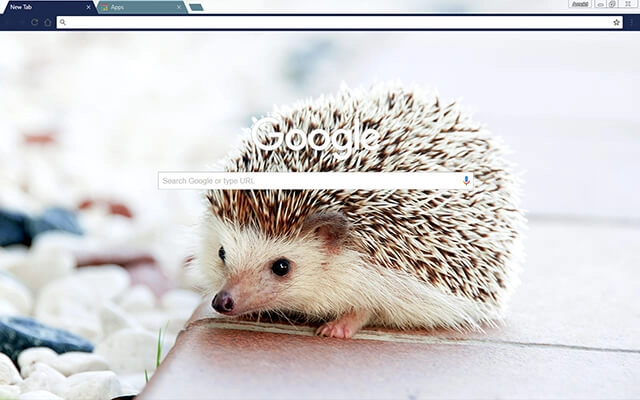 Baby Hedgehog preview