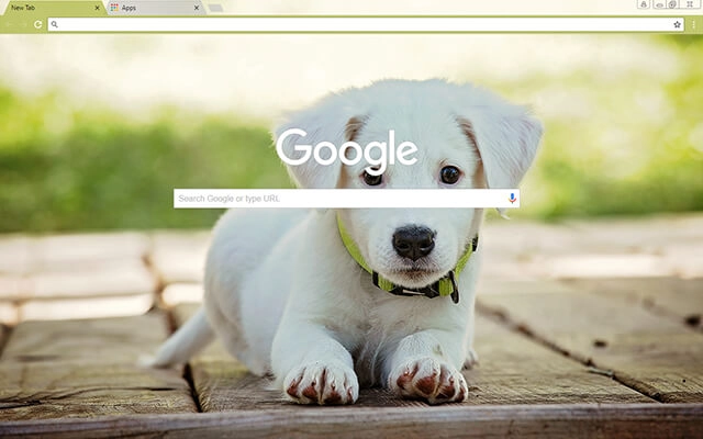 Baby Puppy preview