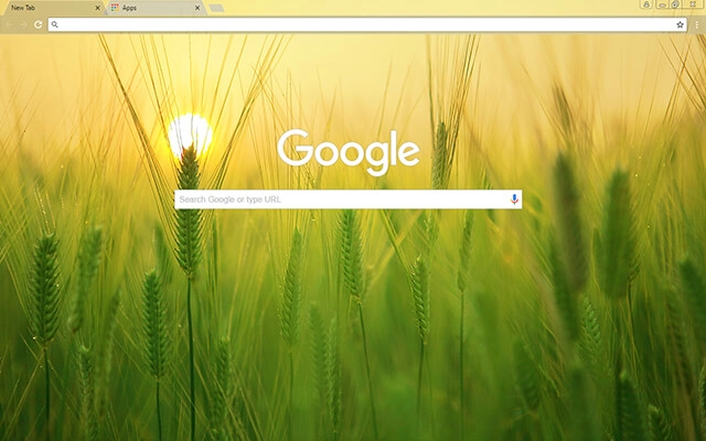 Barley Field preview