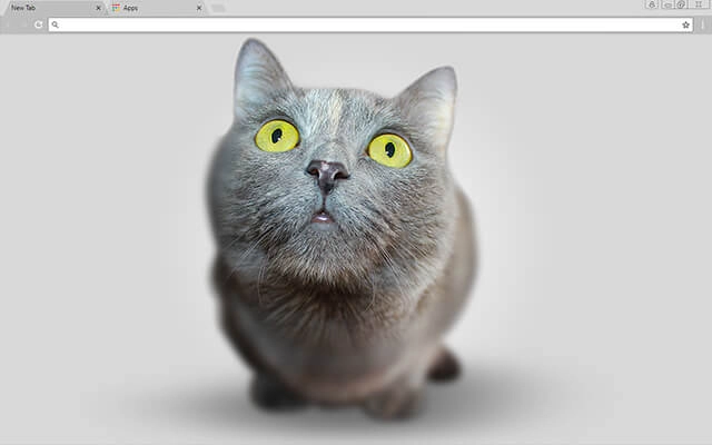 Big Head Kitten Chrome theme preview 1