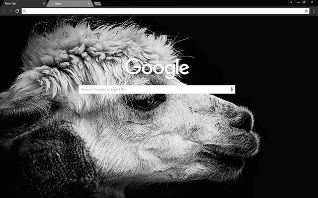 Black Lama preview