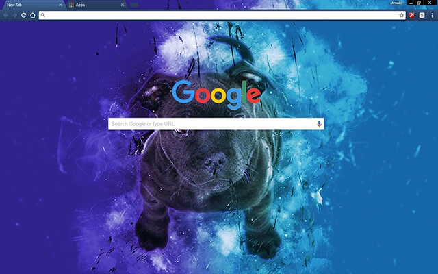 Blue Bull Terrier preview