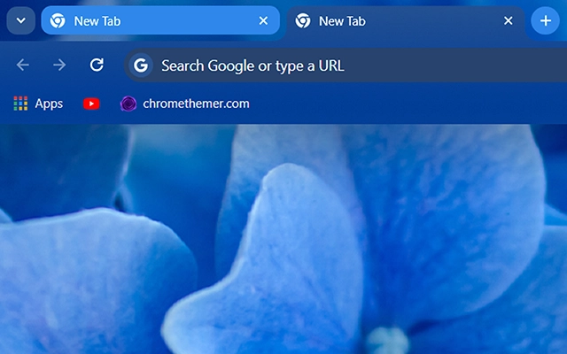 Blue Hydrangea preview