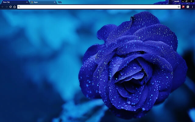 Blue Rose Chrome theme preview 1