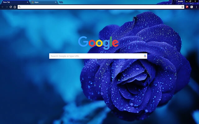 Blue Rose preview