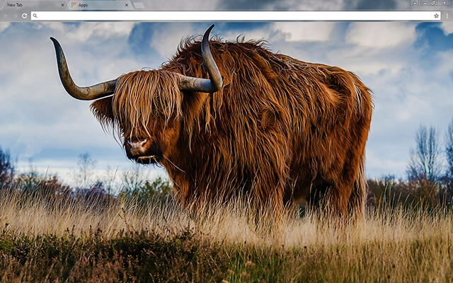 Bull Chrome theme preview 1