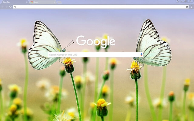 Butterfly Heaven preview