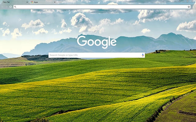 Canola Fields preview