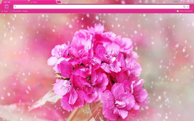 Carnation Flower Chrome theme preview 1