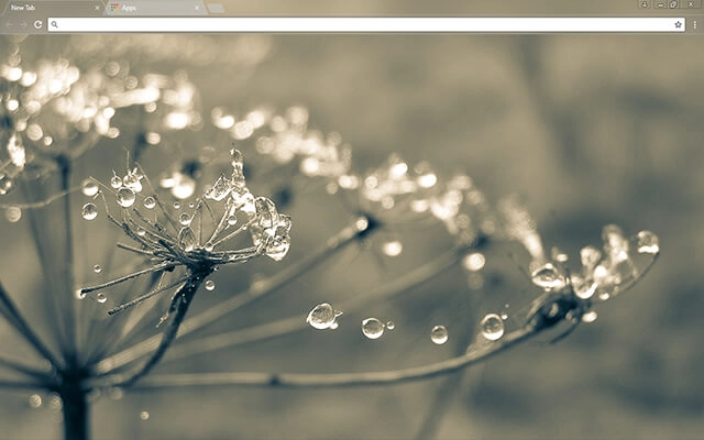 Cobweb Chrome theme preview 1