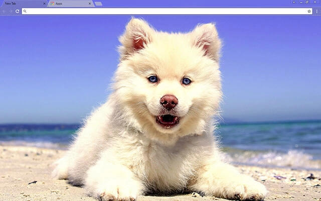 Cute Beach Puppy Chrome theme preview 1