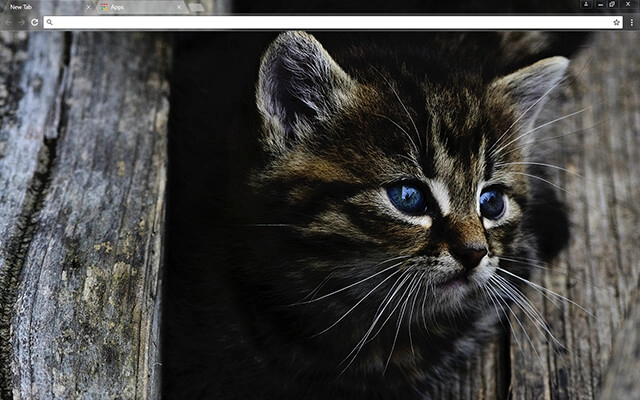 Dark Kitten Chrome theme preview 1