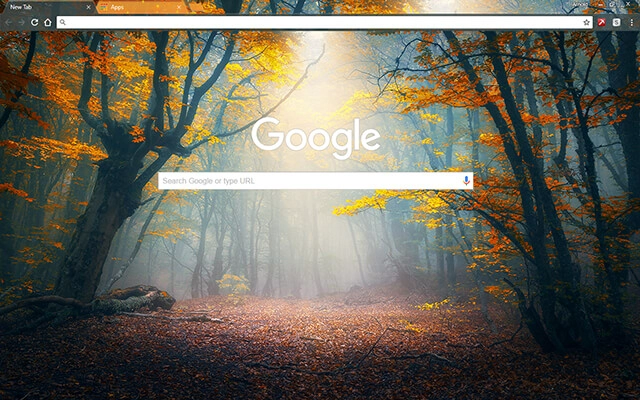 Enchanted Forest preview