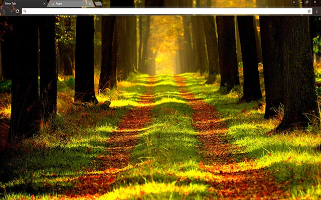 Forest Way Theme For Google Chrome