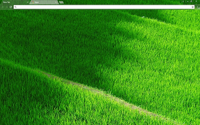 Grassy Terraces Theme For Google Chrome