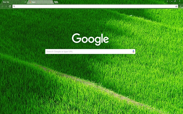 Grassy Terraces preview