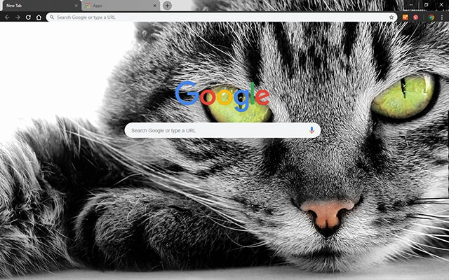 Green Eyed Cat preview