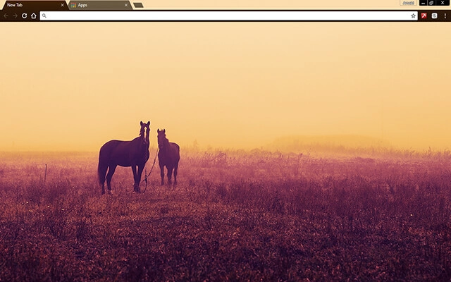 Horses Theme For Google Chrome