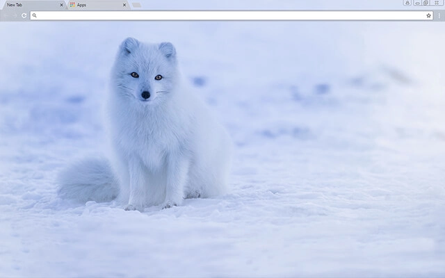 Iceland Fox Chrome theme preview 1