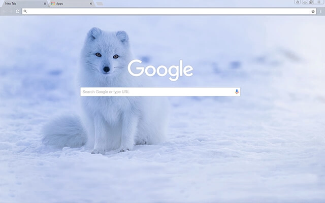 Iceland Fox preview