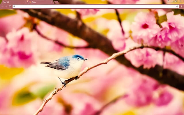Little Bird Theme For Google Chrome