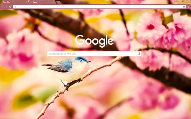 Little Bird preview