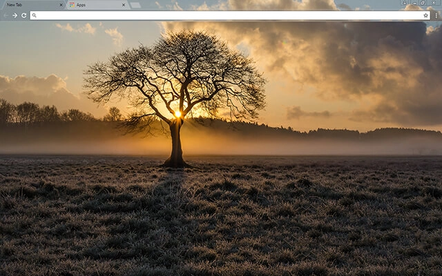 Lone Tree Theme For Google Chrome