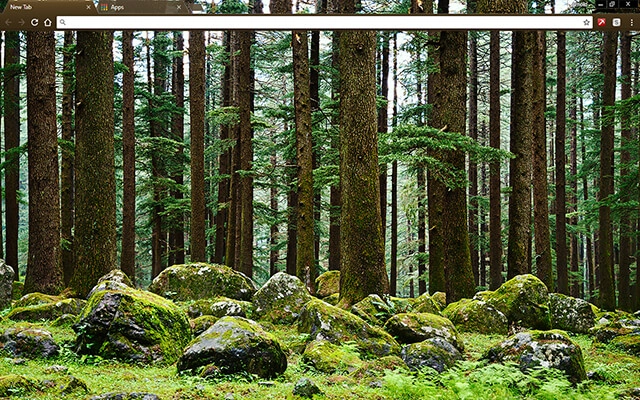 Mystery Forest Chrome theme preview 1