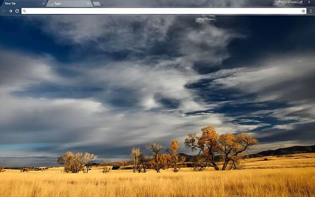 Patagonia Chrome theme preview 1