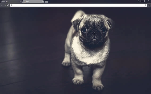 Pug Puppy Chrome theme preview 1