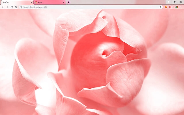 Rose Pink Theme For Google Chrome
