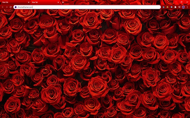 Rosy Red Roses Chrome theme preview 1