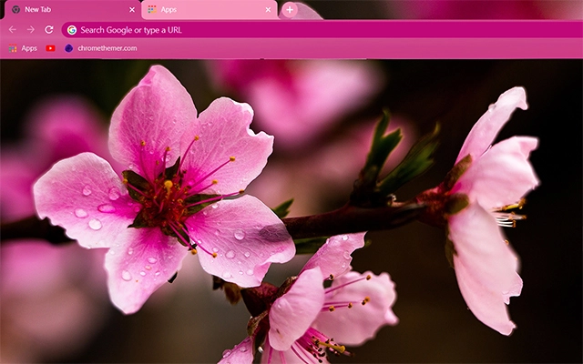 Sakura Chrome theme preview 1