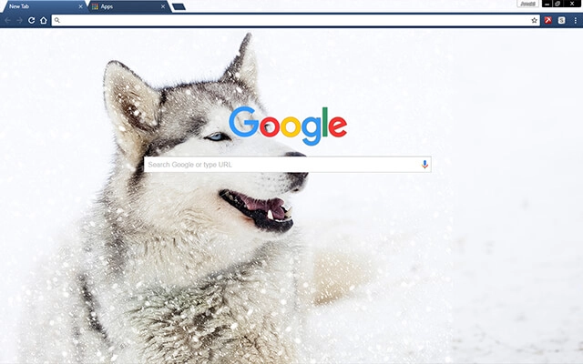 Siberian Husky Dog preview