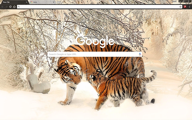 Siberian Tigers preview