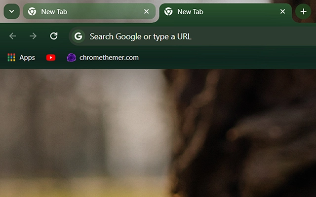 Spring Snowdrops preview