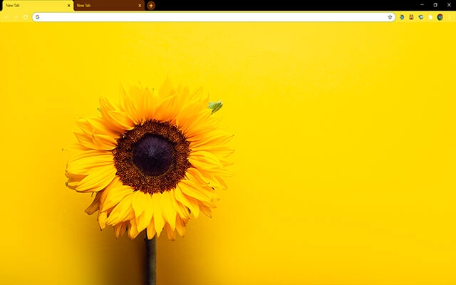 Sunflower Yellow Theme For Google Chrome