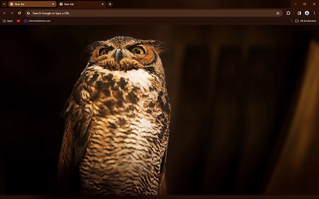 Tiger Owl Theme For Google Chrome