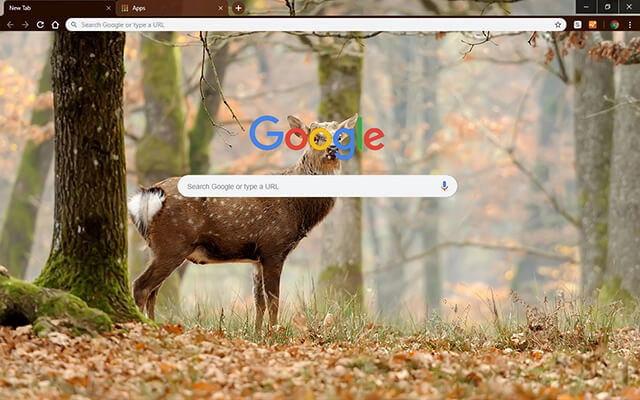 Whitetail Deer preview