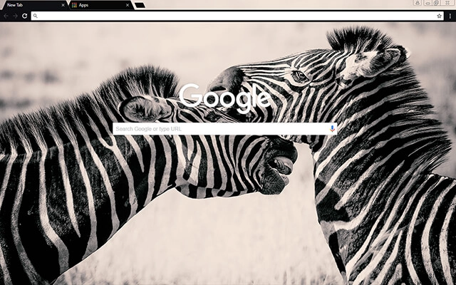 Zebras preview