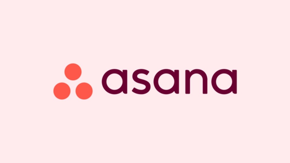Asana project timeline and task management interface preview