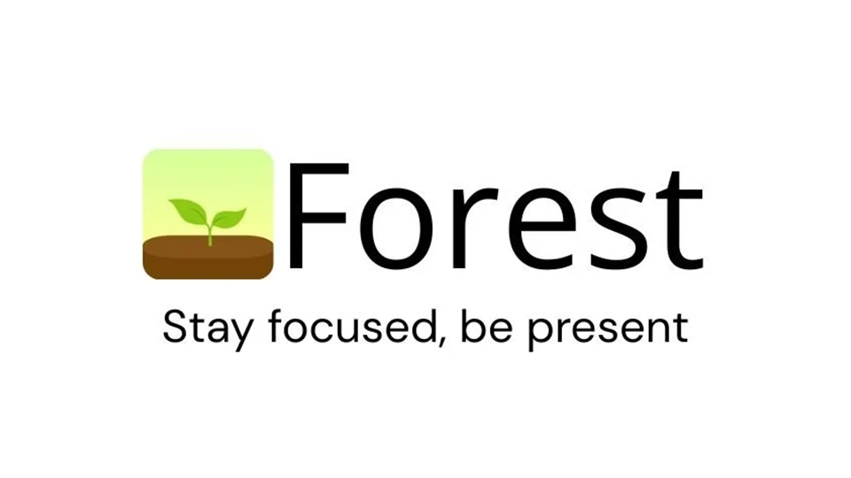 Forest focus timer and virtual tree growth interface preview